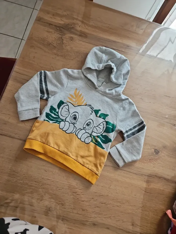 Pull a capuche simba orchestra 23 mois