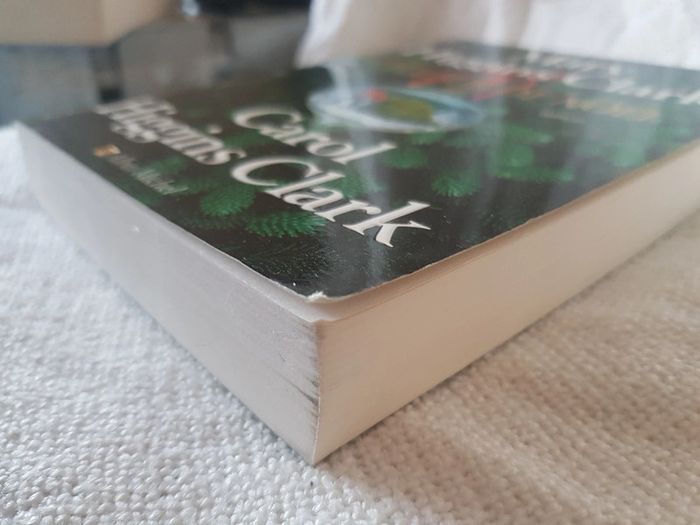 Le voleur de Noël de Mary et Carol Higgins Clark - photo numéro 4