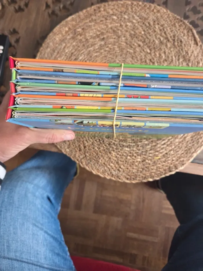 Lot 5 livres Kididoc. Animés - photo numéro 3