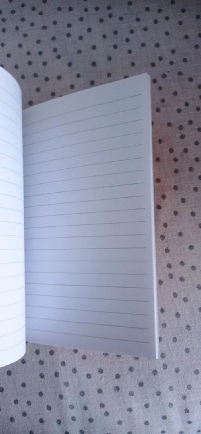 Carnet La marelle Ligné - photo numéro 2