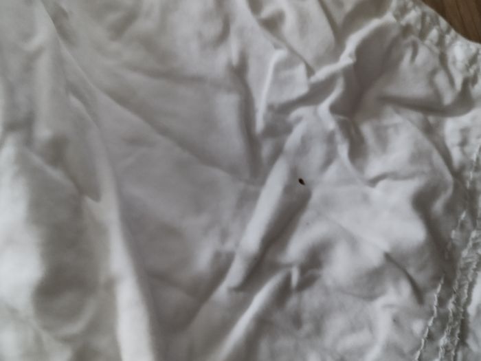 Pantalon petit pirate - photo numéro 3