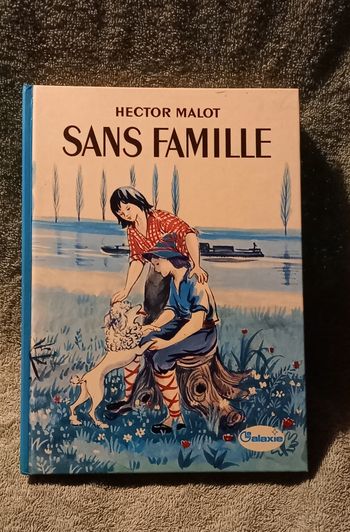 Sans famille Hector Malot illustré Editions Hachette la Galaxie 1981
