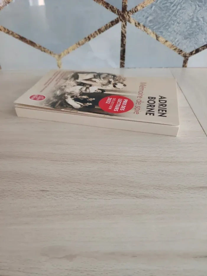 Livre poche mémoire de soie Borne - photo numéro 5