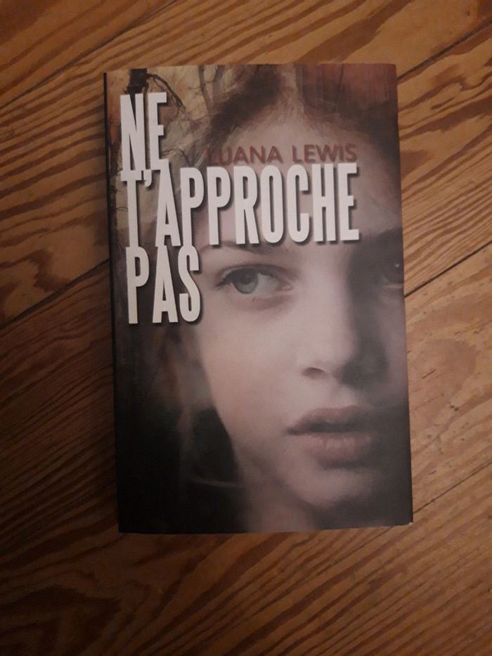 Roman Ne t'approche pas - photo numéro 1