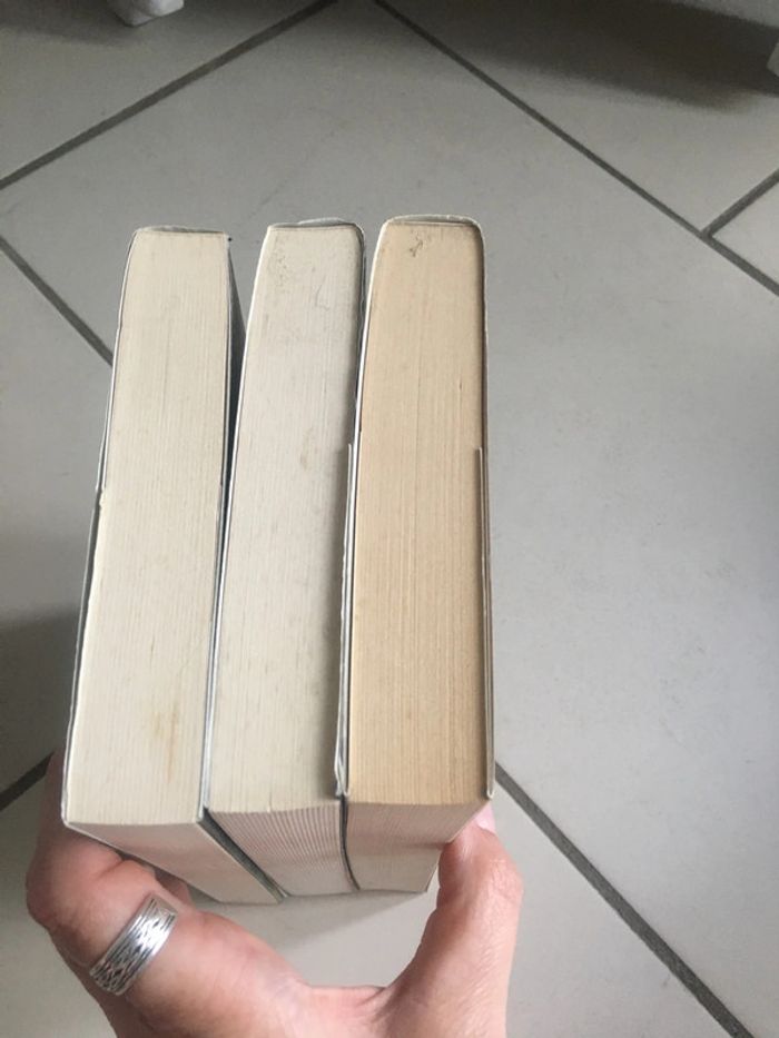 Livres Trilogie des Elfes Broché : Le crépuscule, la nuit et l’heure - photo numéro 5