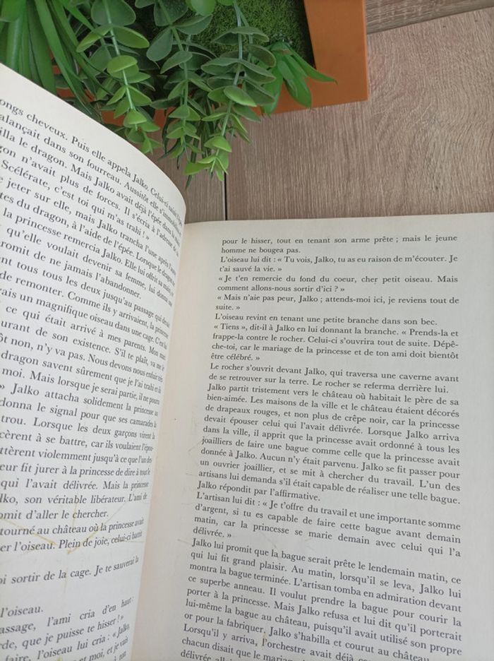 Livre Le Hussard Courageux et autres Contes - photo numéro 2