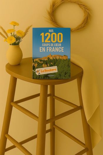 Livre  Le routard  Nos  1200  coups  de  cœur en  France