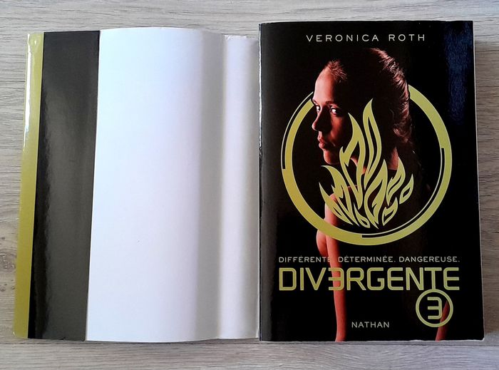 Divergente - veronica roth tome 1,2,3 - photo numéro 7