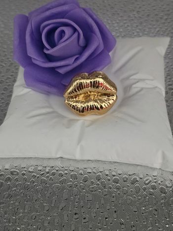 Bague avec sa bouche en acier inoxydable