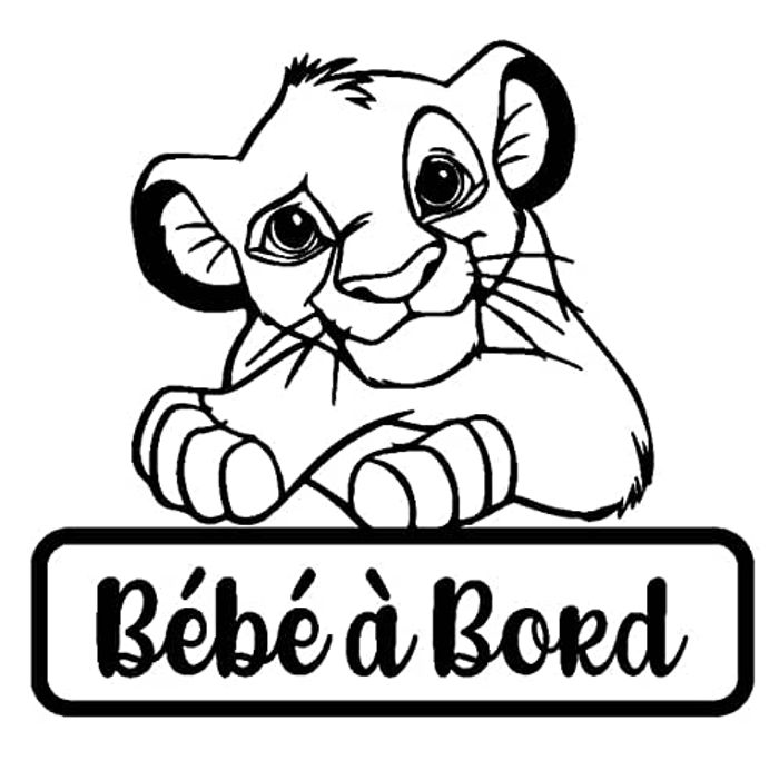 Stickers pour voiture - photo numéro 3