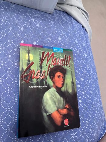 Livre le maudit graal