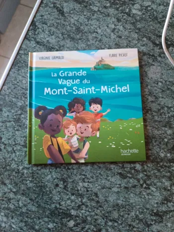La grande vague du Mont-Saint-Michel