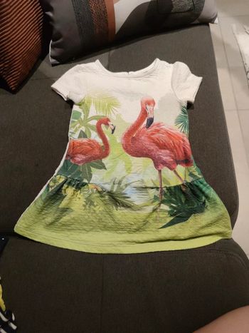 Robe flamand rose