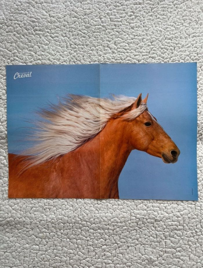 Magazine + 3 posters l’univers du cheval - photo numéro 7