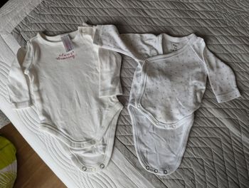 Bodies