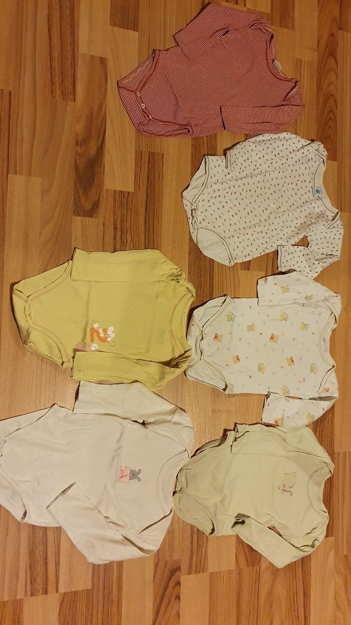 lot 6 bodies