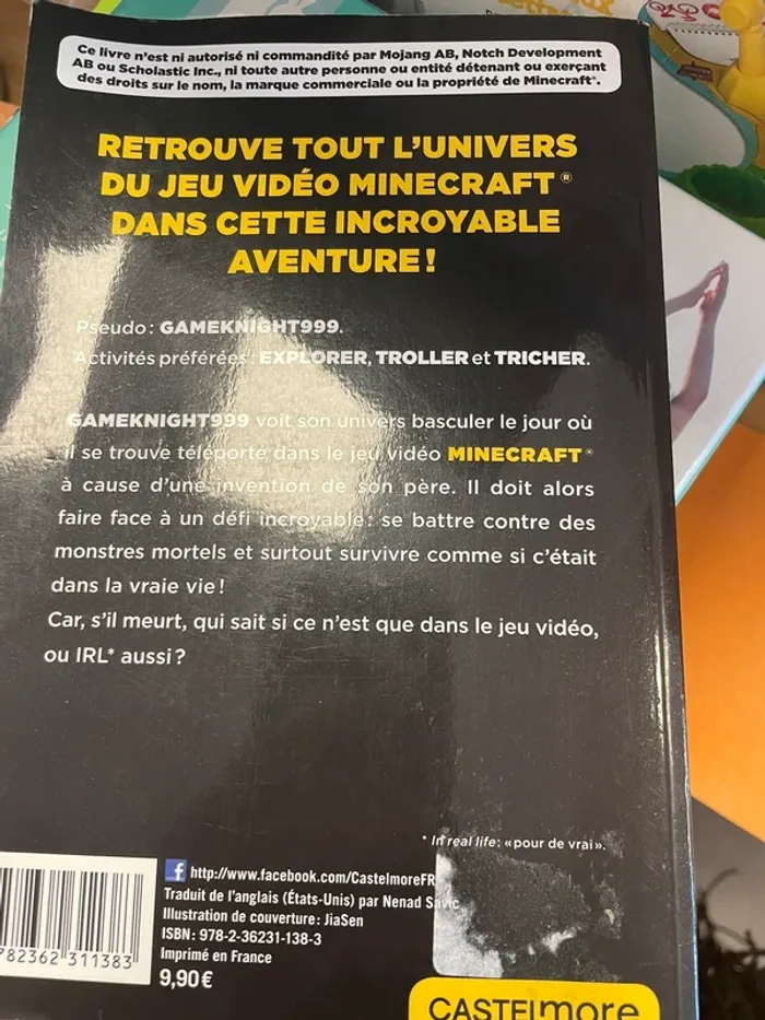 L’invasion de l’Overworld - photo numéro 2