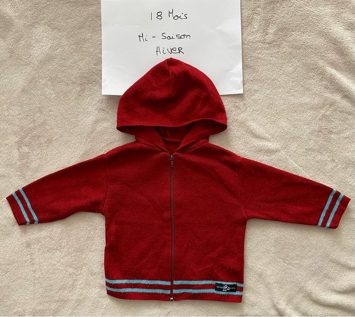 Lot 1 gilet réversible Neuf et 3 gilets zippés à capuche TBE - 18 mois - Obaïbi, Vertbaudet & autre - photo numéro 15