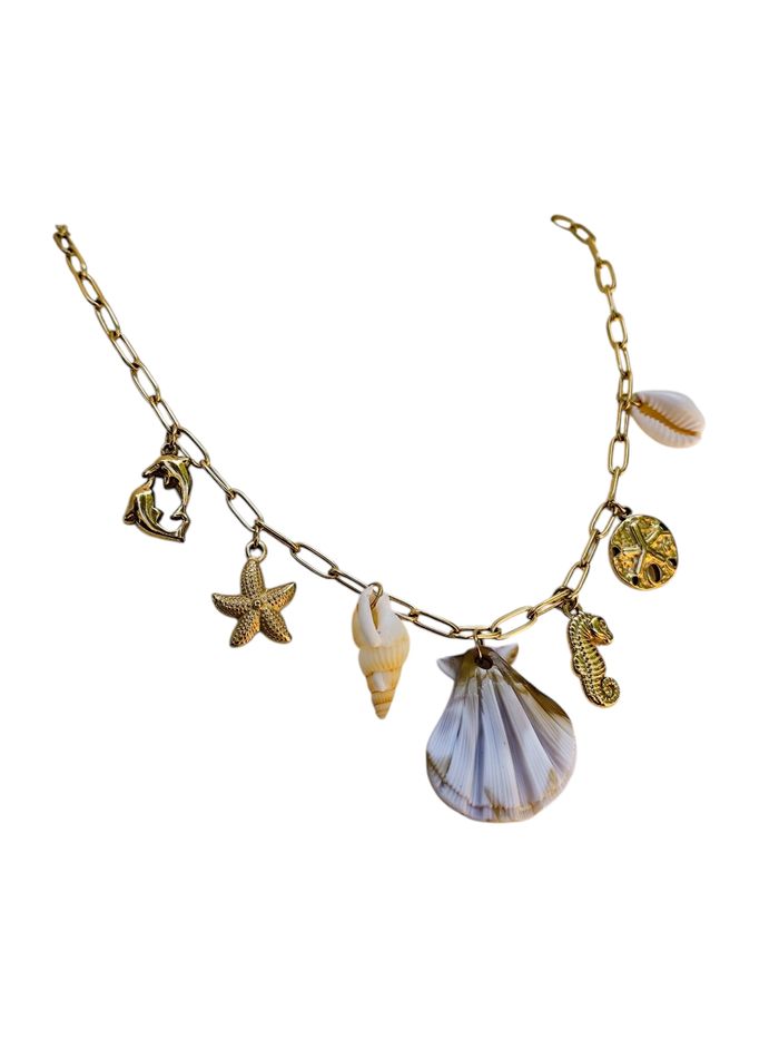Collier coquillage hypocanpe ✅ - photo numéro 3