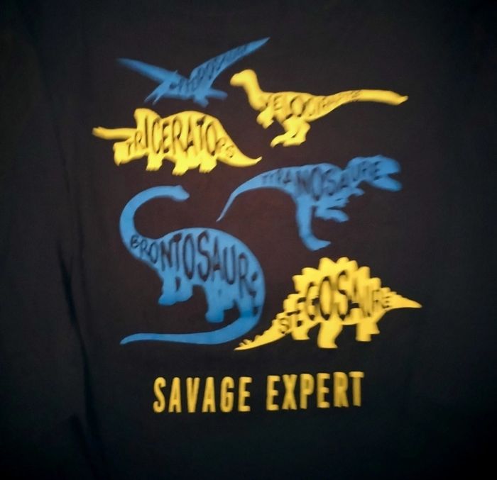 Haut manches longues dinausaures comme neuf - photo numéro 4