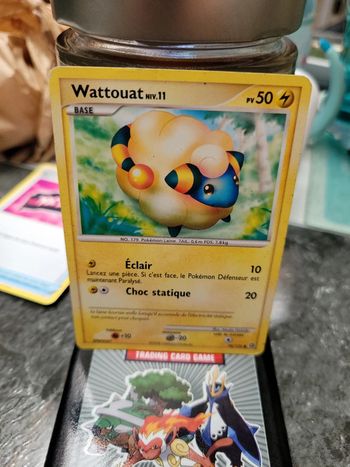 Pokémon wattouat niv11