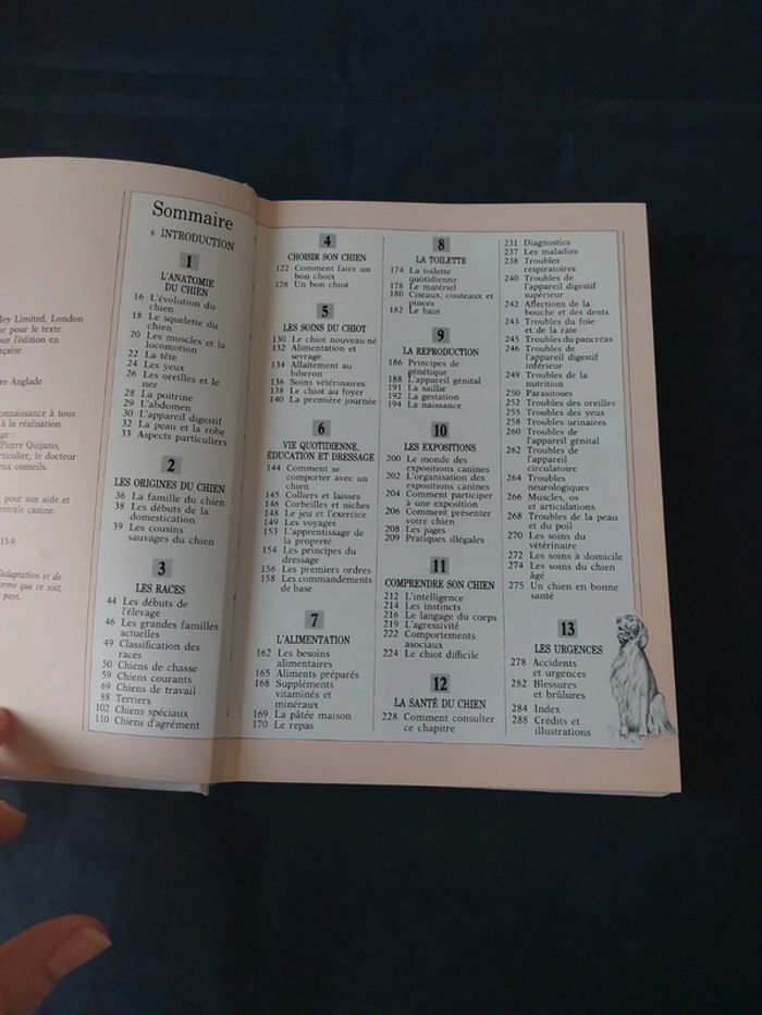 Vous et votre chien - photo numéro 4