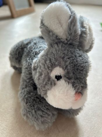 Lapin