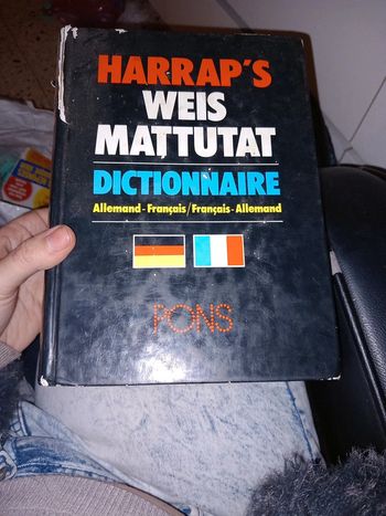 Livre dictionnaire français - allemand français