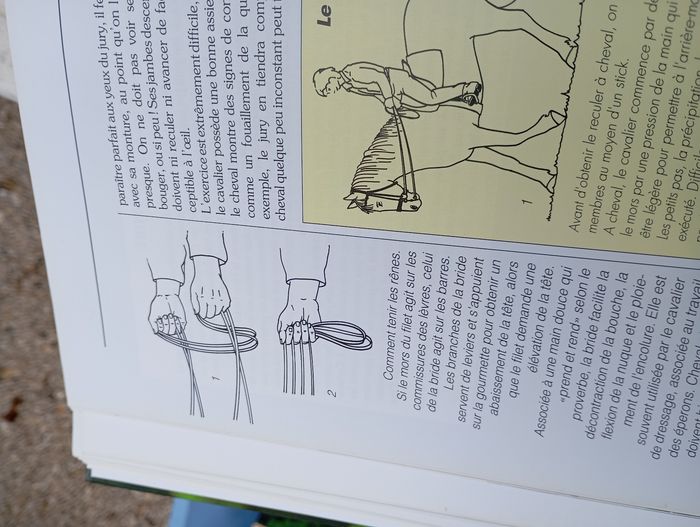 Livre plaisirs et pratiques de l'équitation - photo numéro 4