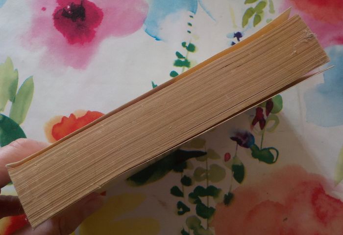 Tragédies de Sophocle Ed. Folio n°360 - photo numéro 4