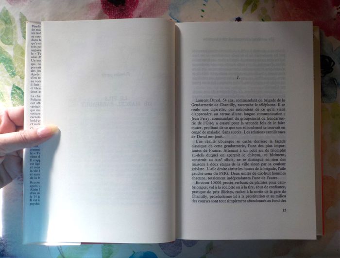 UN ASSASSIN AU-DESSUS DE TOUT SOUPCON par Yvan STEFANOVITCH Ed. France Loisirs - photo numéro 8