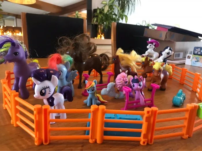 Enclos petit poney