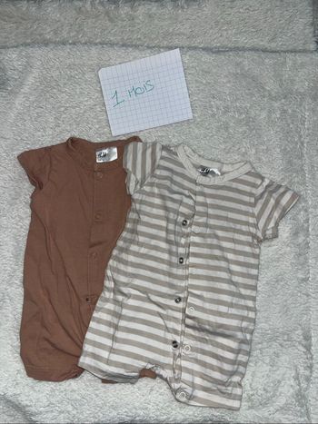 Lot 2 bodies
