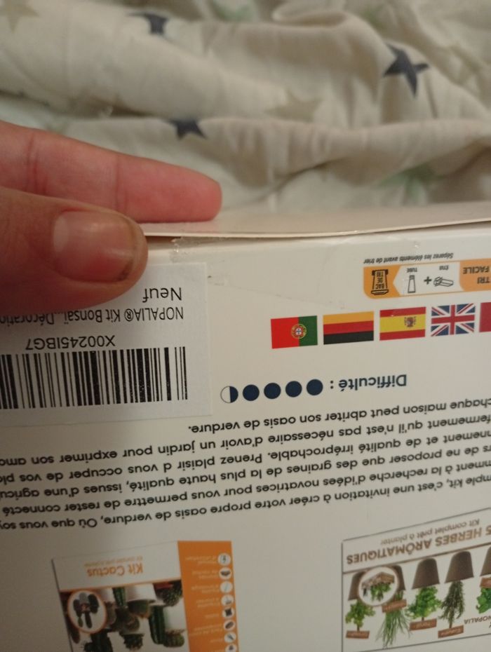 Kit Bonsaï - photo numéro 2