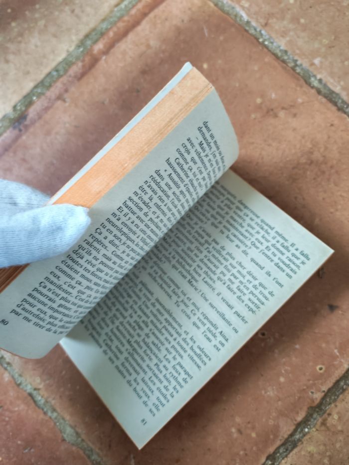 Le piège, livre de Francis Ryck - photo numéro 2