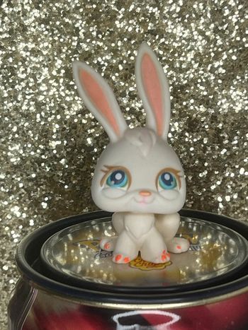 Littlest pet shop #471 lapin