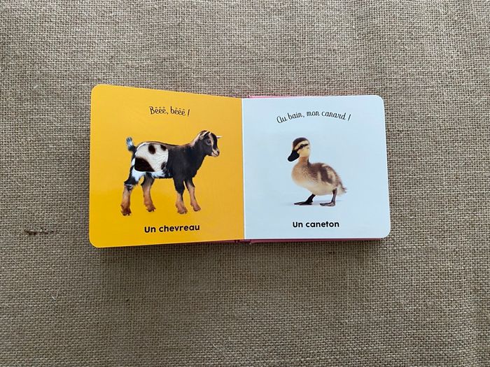 Livre les bébés de la ferme Langue au chat - photo numéro 6