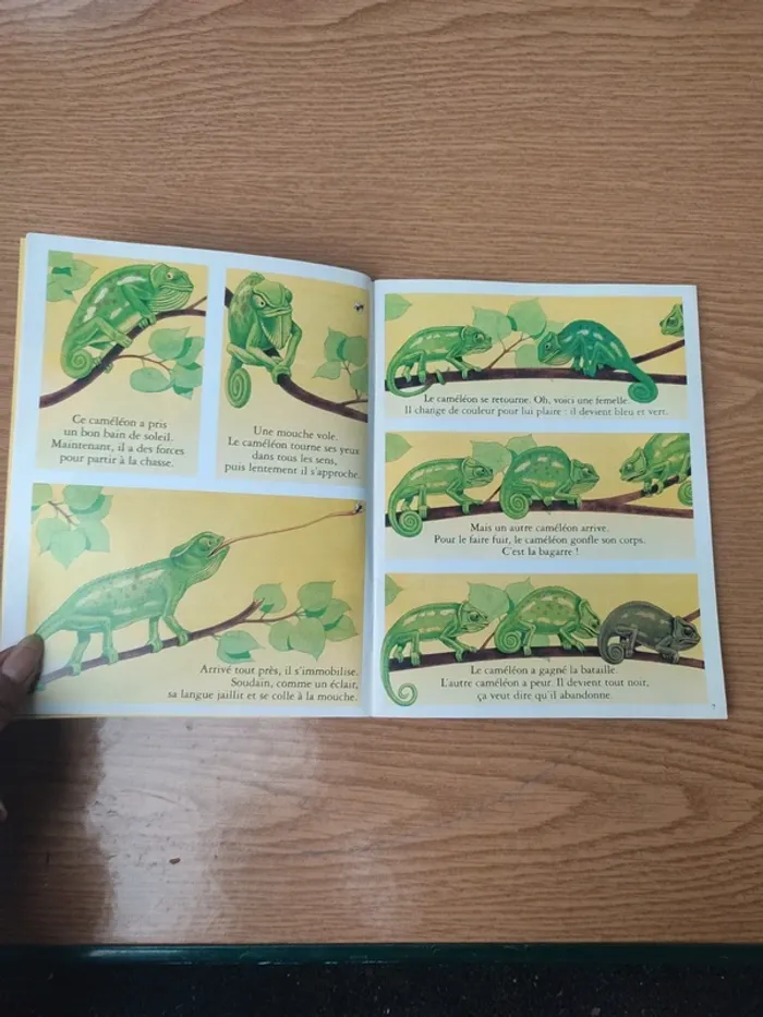 Livre youpi Karim l'enfant du désert - photo numéro 7