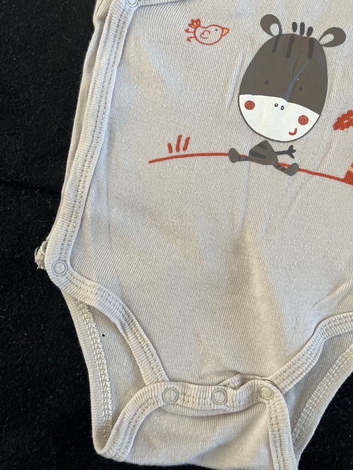 Bodie 3 mois - photo numéro 2