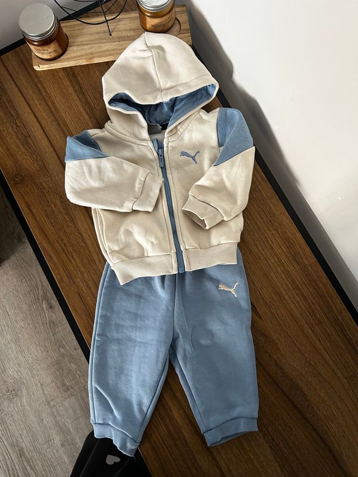 Ensemble puma - photo numéro 2