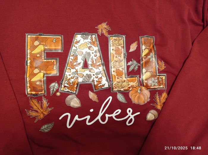 Sweatshirt Automne femme taille M 🍁🍂 - photo numéro 2