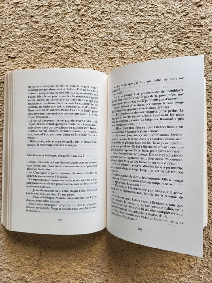 Livre Le mystère Soline, Au-delà du temps de Marie-Bernadette Dupuy - photo numéro 6