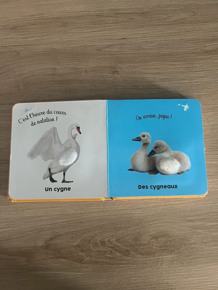 Livre bébé «  Dans la basse cour » - photo numéro 3