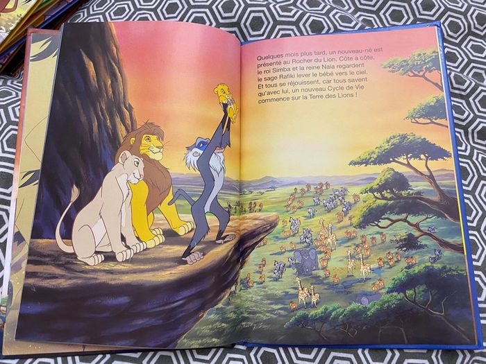Livre le roi lion - photo numéro 4