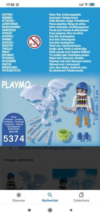 Playmobil 5374 - sculpteuse sur glace