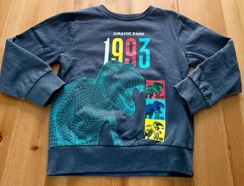 Pull « Jurassic Park »