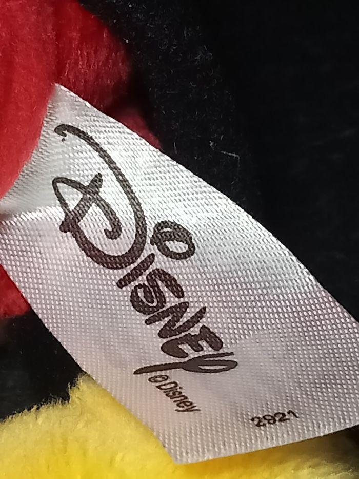 Mickey - photo numéro 6