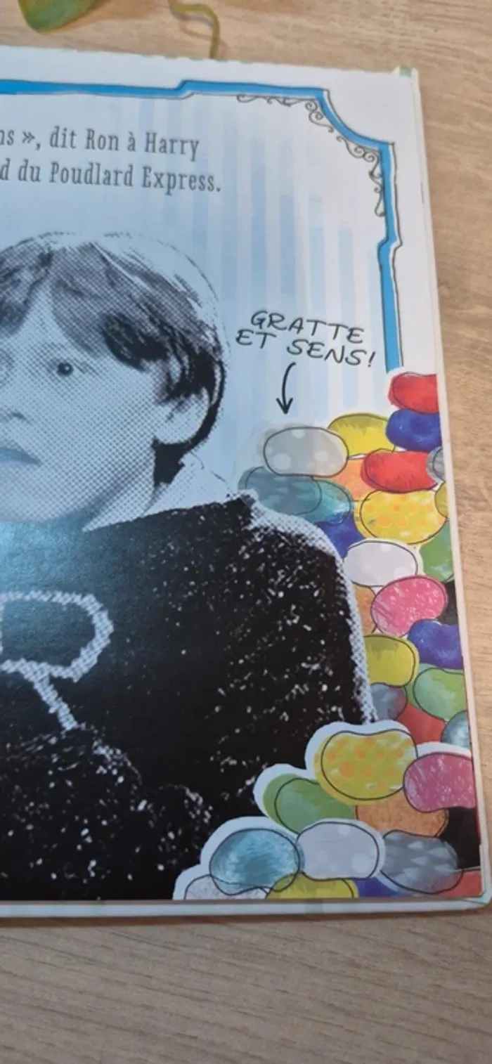 Livre harry potter honeydukes - photo numéro 6