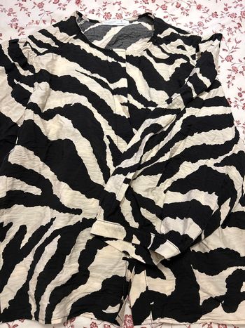 Blouse zébrée