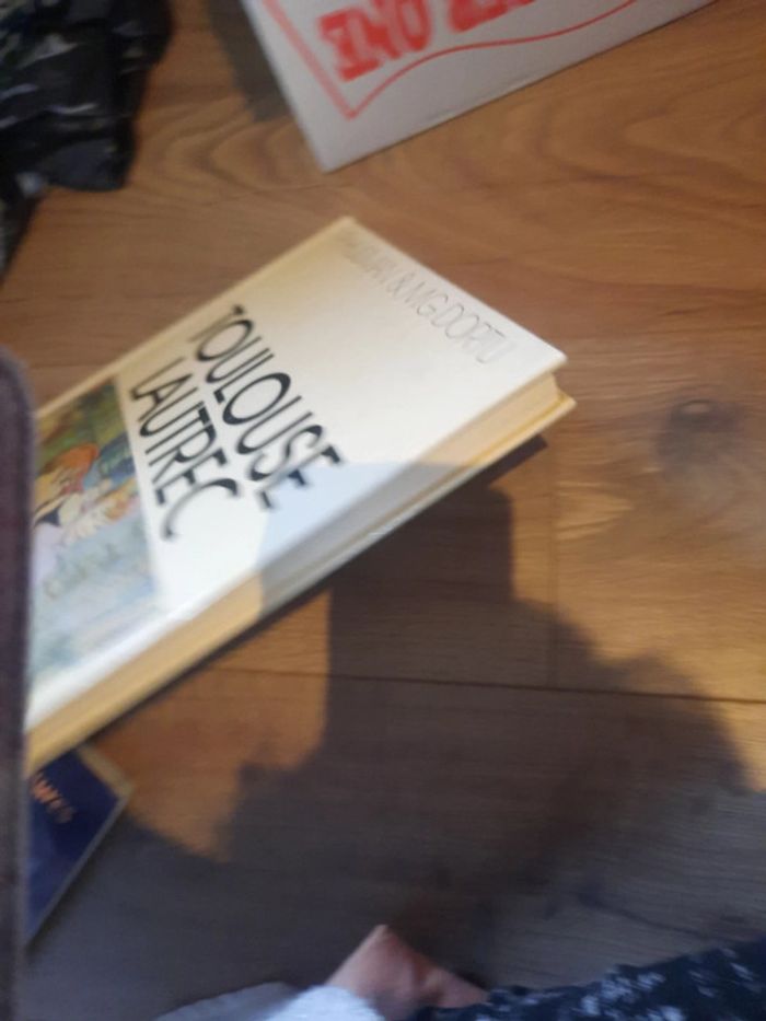 Livre art les impressionniste p j - photo numéro 10